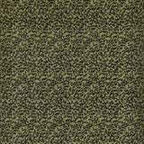 Coraggio Chautauqua Nile Fabric