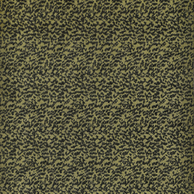 Coraggio Chautauqua Nile Fabric