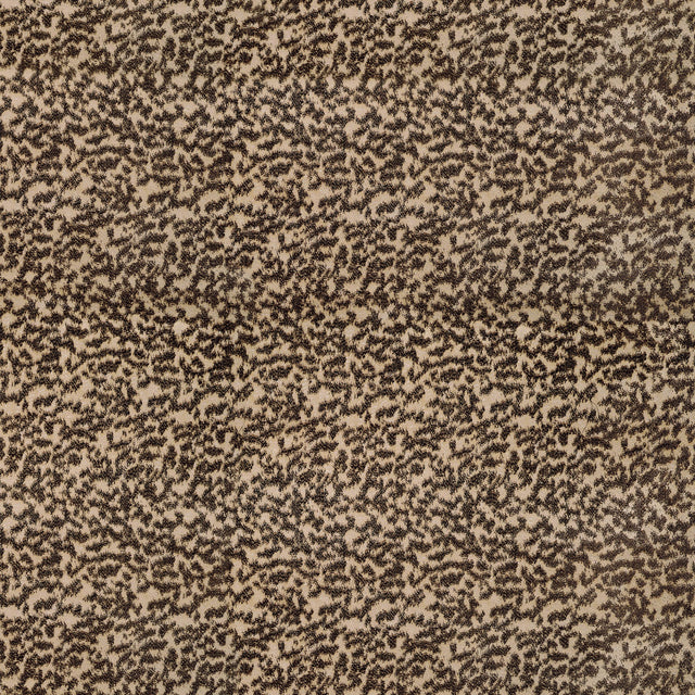 Coraggio Chautauqua Sahara Fabric