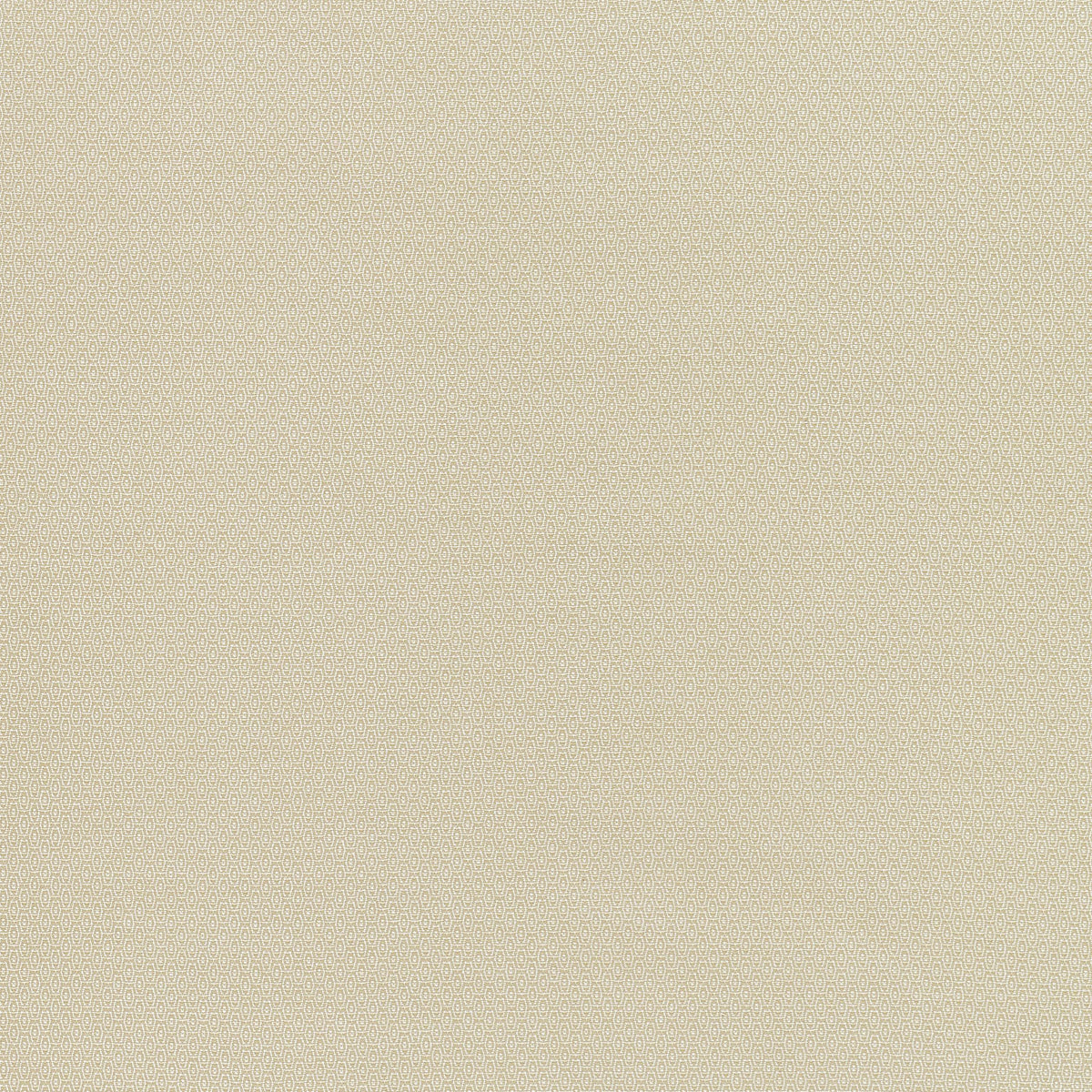 Coraggio San Onofre Drive Natural Fabric