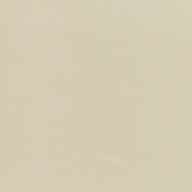 Coraggio San Onofre Drive Natural Fabric