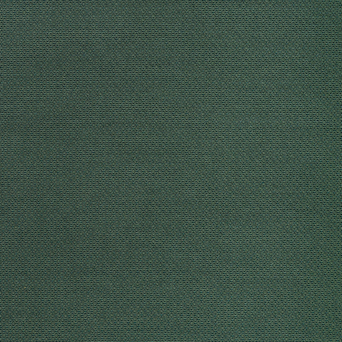Coraggio San Onofre Drive Hemlock Fabric