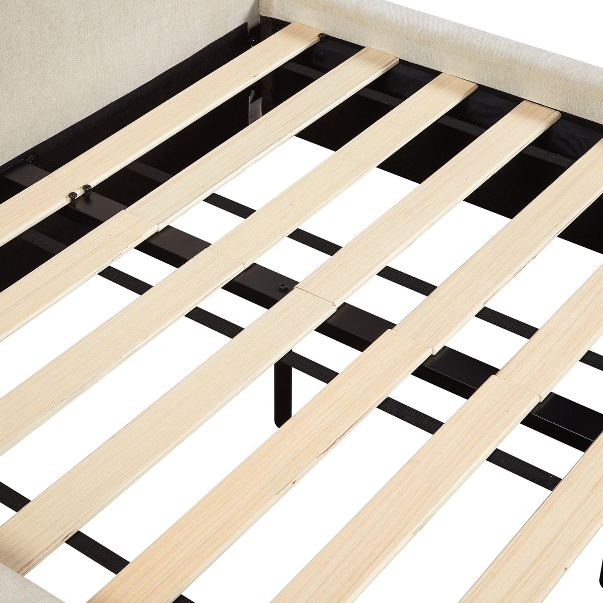 TOV Leah Cream Performance Chenille Bed in Special 48 Width Sizing
