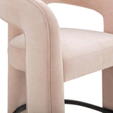 TOV Malone Blush Performance Fabric Counter Stool