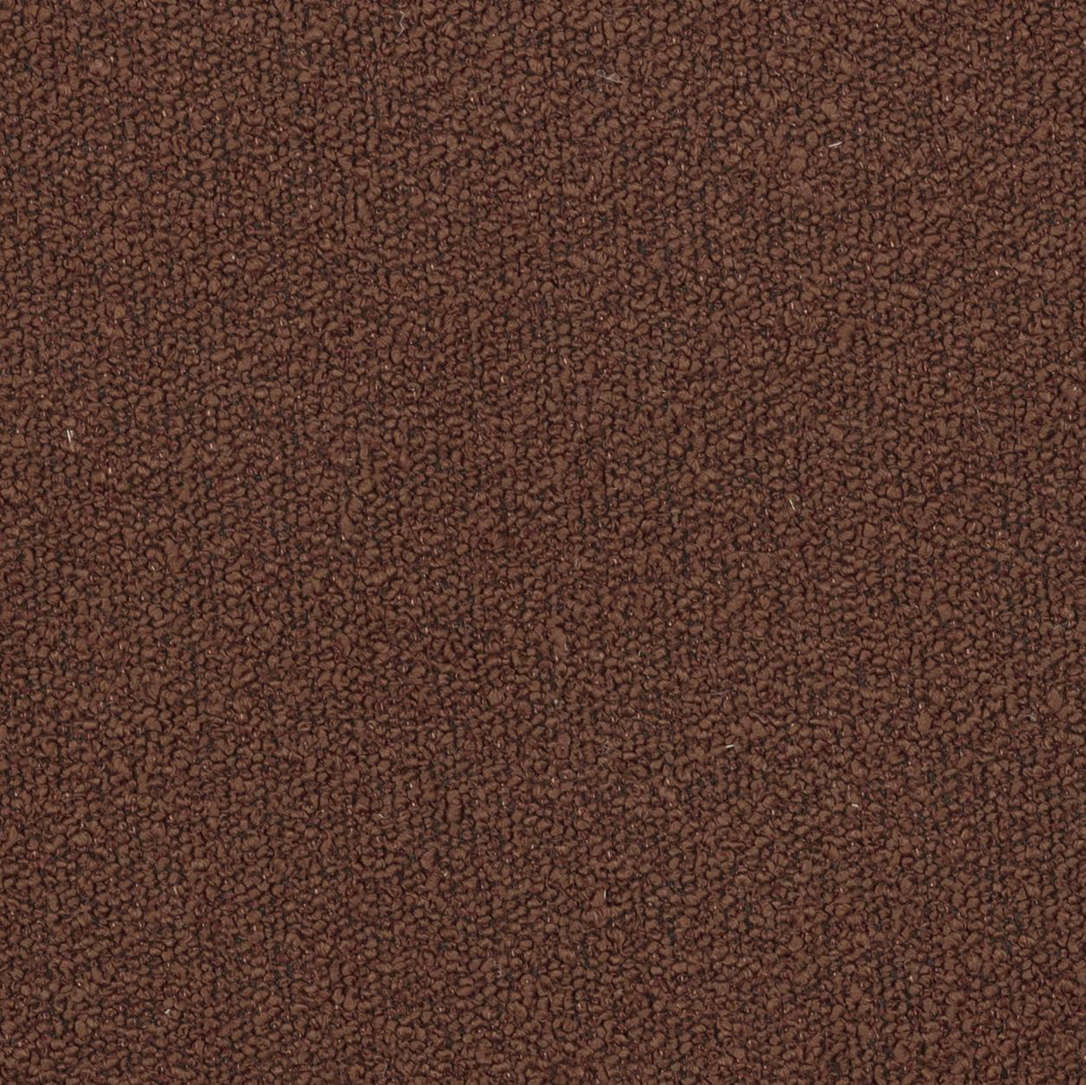 TOV Celine Maroon Performance Boucle Dining Chair - Set of 2