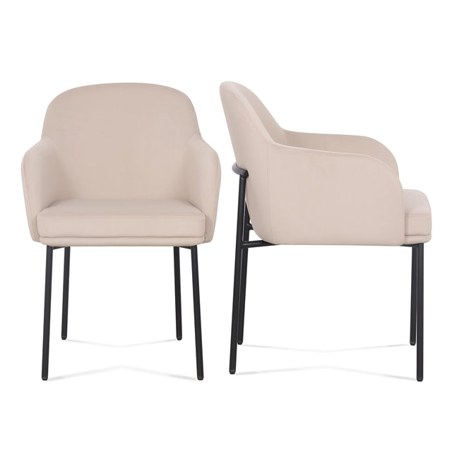 TOV Sydney Taupe Performance Velvet Armchair Set of 2