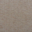 Andrew Martin DELPHINI BISCOTTI Upholstery Fabric