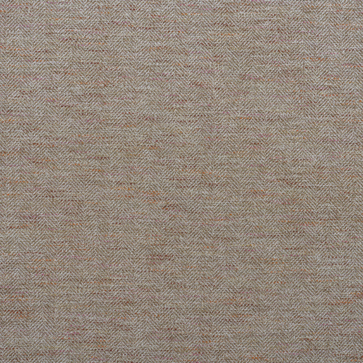 Andrew Martin DELPHINI BISCOTTI Upholstery Fabric