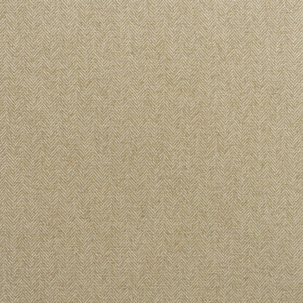Andrew Martin LECCE LIMONE Upholstery Fabric