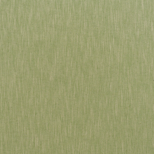 Andrew Martin CANVAS SPRING Upholstery Fabric