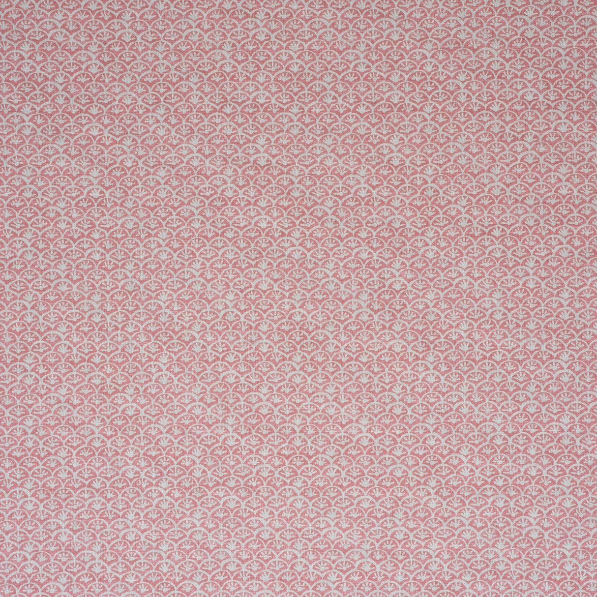 Andrew Martin DAISY GERANIUM Fabric