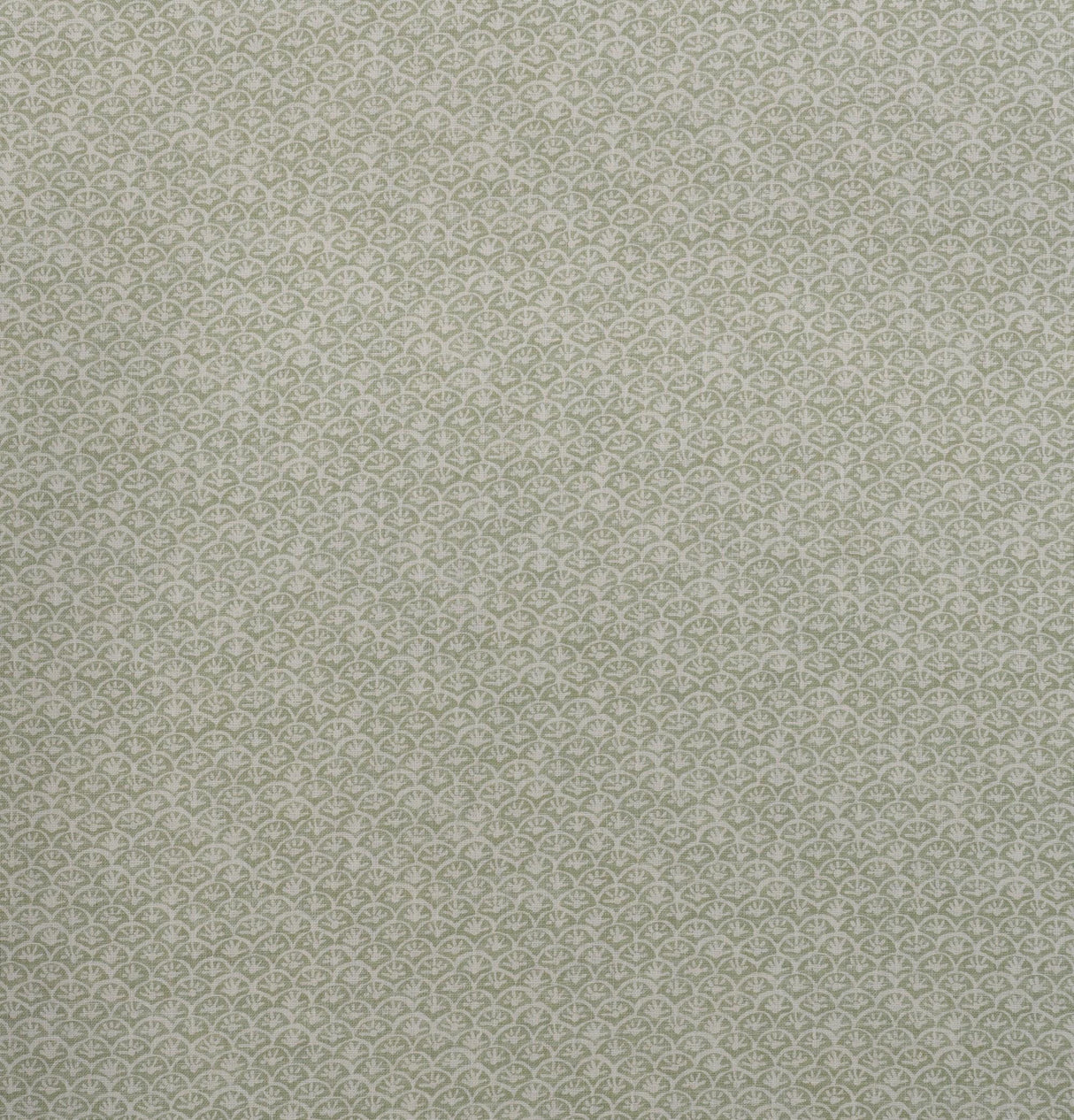 Andrew Martin DAISY FENNEL Fabric