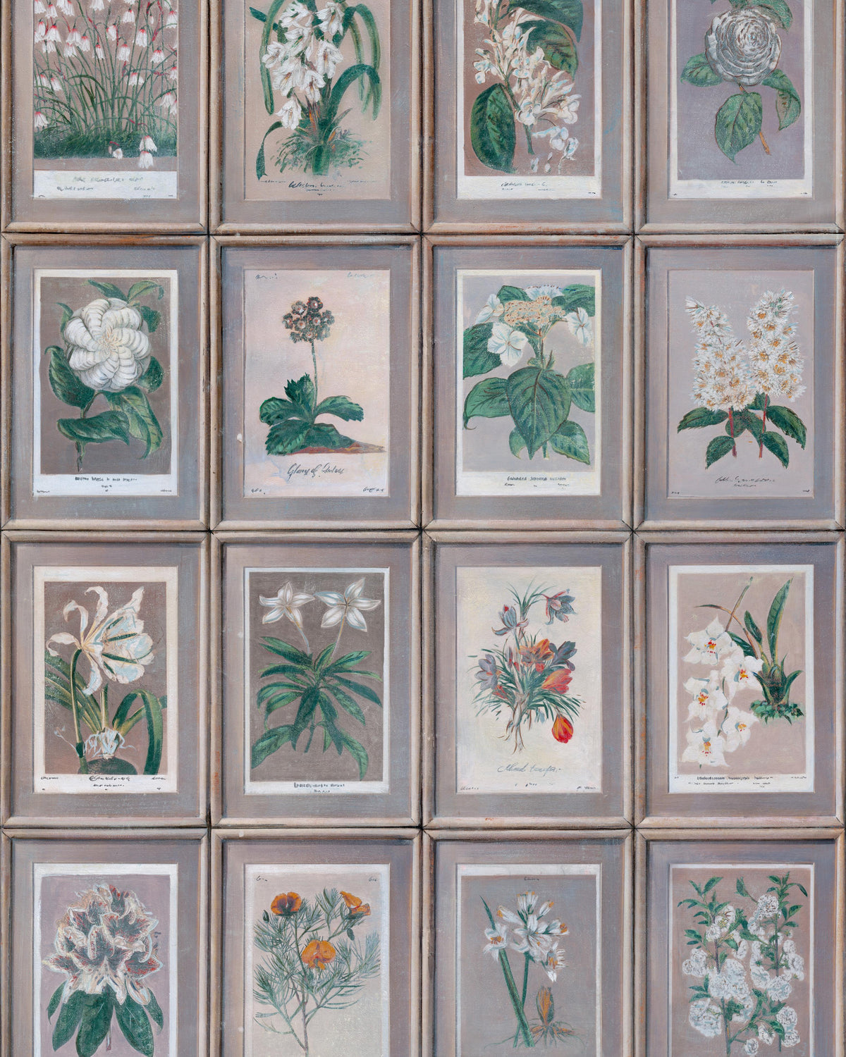 Andrew Martin FLORAL SLATE Wallpaper