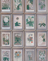 Andrew Martin FLORAL SLATE Wallpaper