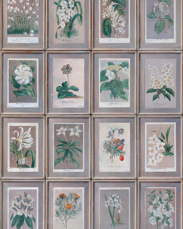 Andrew Martin FLORAL SLATE Wallpaper