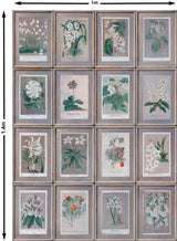 Andrew Martin FLORAL SLATE Wallpaper