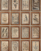 Andrew Martin JOURNAL NEUTRAL Wallpaper