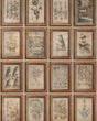 Andrew Martin JOURNAL NEUTRAL Wallpaper