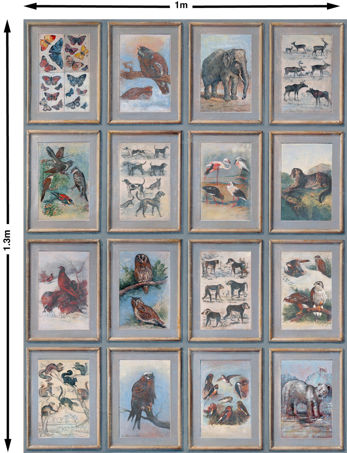 Andrew Martin ZOOLOGY NEUTRAL Wallpaper
