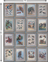 Andrew Martin ZOOLOGY NEUTRAL Wallpaper