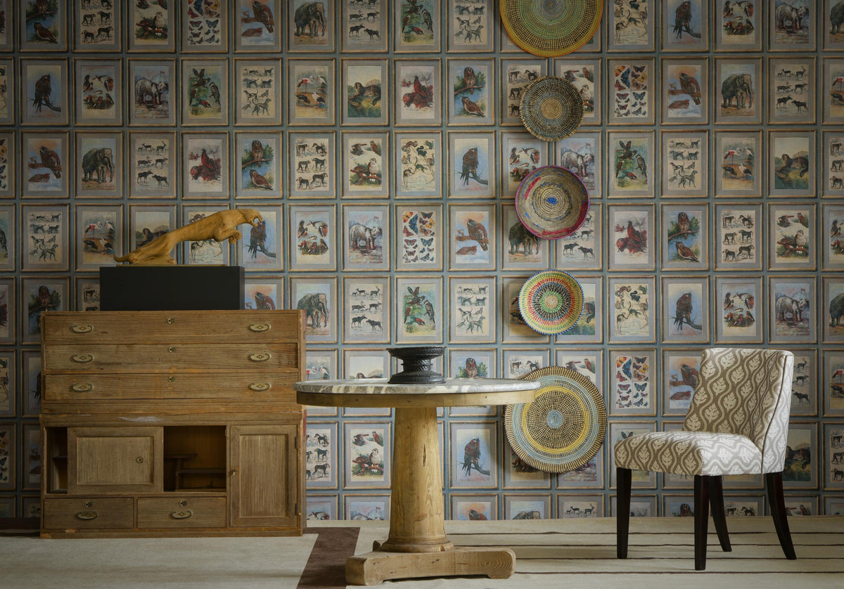 Andrew Martin ZOOLOGY NEUTRAL Wallpaper
