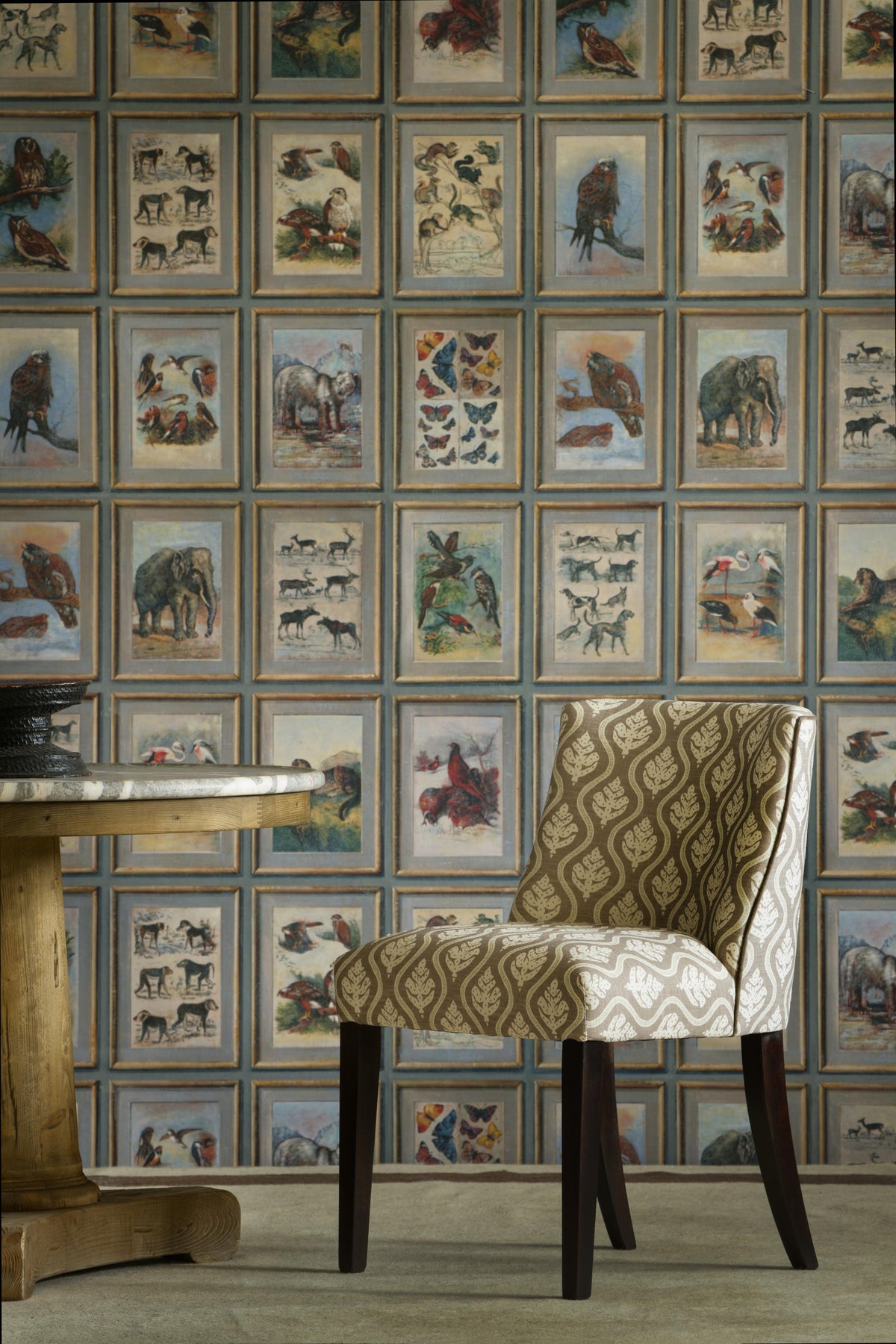 Andrew Martin ZOOLOGY NEUTRAL Wallpaper