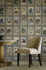 Andrew Martin ZOOLOGY NEUTRAL Wallpaper