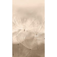 Galerie 203801 Orom II Stylish floral all-over Pink Mural 203801 Pink Mural