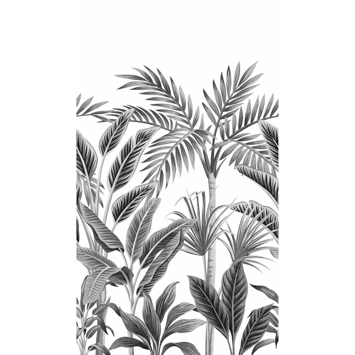 Galerie A40801 Orom II Branched Leaves Motive Black Mural A40801 Black Mural