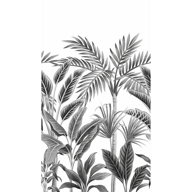 Galerie A40801 Orom II Branched Leaves Motive Black Mural A40801 Black Mural