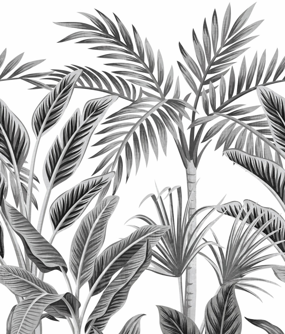 Galerie A40801 Orom II Branched Leaves Motive Black Mural A40801 Black Mural