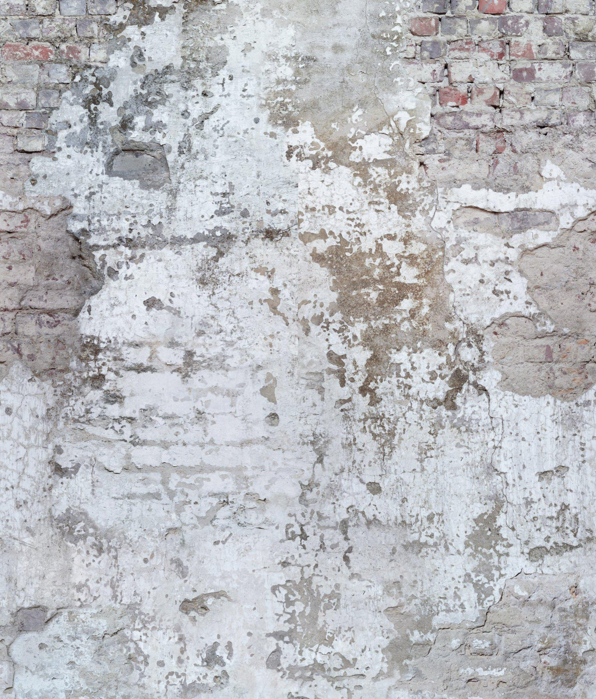 Galerie A42301 Orom II Photographic Motive White Mural A42301 White Mural