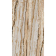Galerie A50801 Orom II Photographic All-over Print Brown Mural A50801 Brown Mural