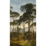 Galerie A46301 Orom II Photographic All-over Print Green Mural A46301 Green Mural
