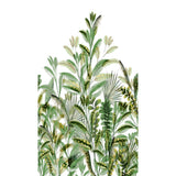 Galerie A59502 Orom II Branched Leaves All-over Green Mural A59502 Green Mural