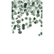 Galerie A73201 Orom II Photographic All-over Print Green Mural A73201 Green Mural