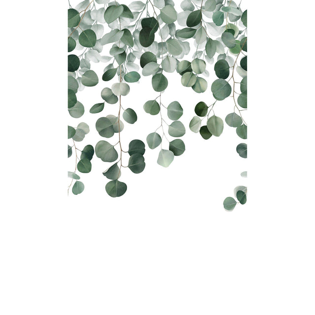 Galerie A73201 Orom II Photographic All-over Print Green Mural A73201 Green Mural