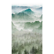 Galerie A73601 Orom II Photographic All-over Print Green Mural A73601 Green Mural