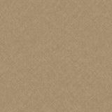 Galerie CO1105 Concept Graphic Concrete Brown Wallpaper CO1105 Brown Wallpaper