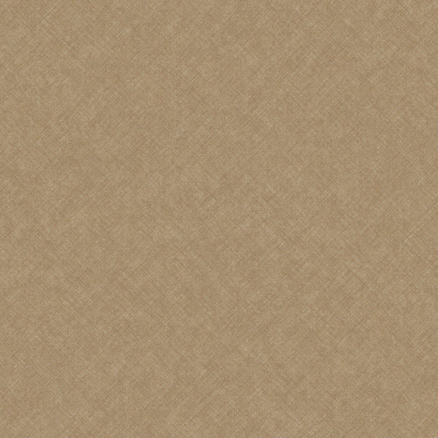 Galerie CO1105 Concept Graphic Concrete Brown Wallpaper CO1105 Brown Wallpaper