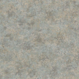 Galerie EA99117 Earth Clay Silver Grey Wallpaper EA99117 Silver Grey Wallpaper