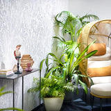 Galerie EN91935 Energy Fan Palm Cream Wallpaper EN91935 Cream Wallpaper