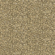 Galerie EN91952 Energy Feathers Gold Wallpaper EN91952 Gold Wallpaper
