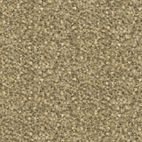 Galerie EN91952 Energy Feathers Gold Wallpaper EN91952 Gold Wallpaper