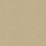 Galerie EN91967 Energy Floral Gold Wallpaper EN91967 Gold Wallpaper