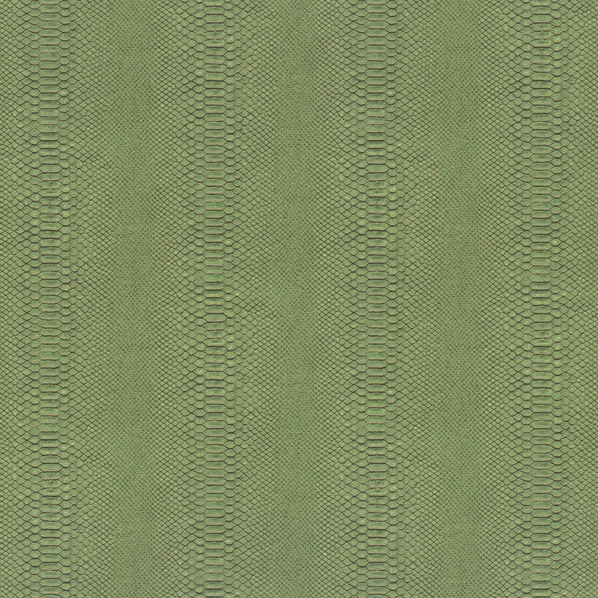 Galerie EN91981 Energy Snake Skin Green Wallpaper EN91981 Green Wallpaper
