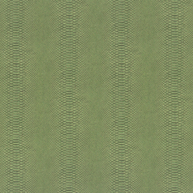 Galerie EN91981 Energy Snake Skin Green Wallpaper EN91981 Green Wallpaper