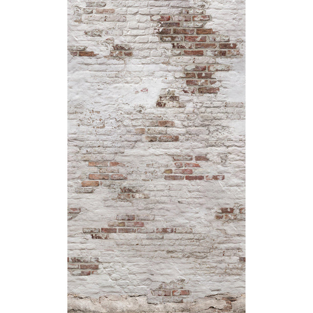 Galerie EP6101 Orom II Photographic All-over Print White Mural EP6101 White Mural