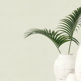 Galerie GG82156 Hygge Home Plain Texture Green Wallpaper GG82156 Green Wallpaper