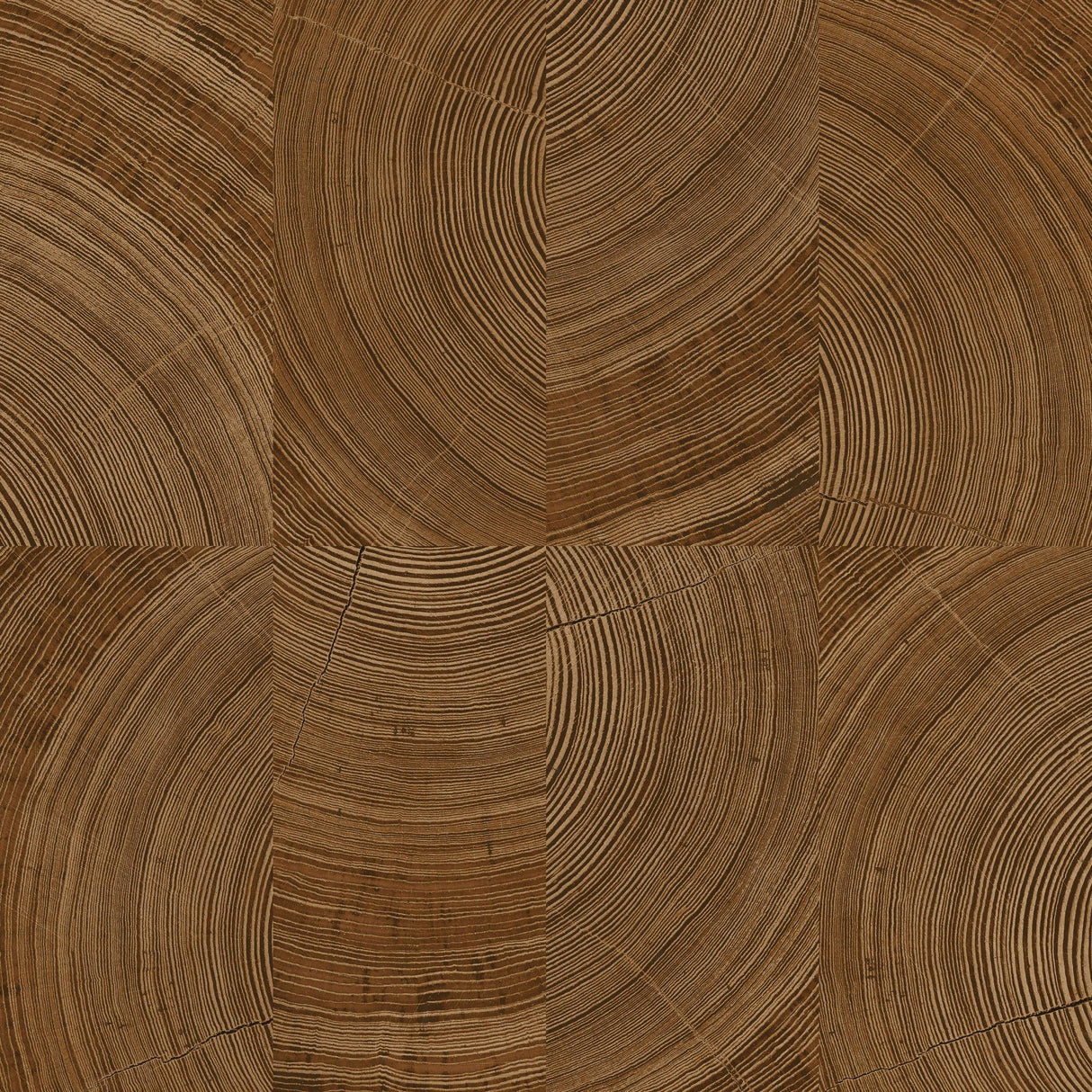 Galerie KRA69101 Karuna Photographic Motive Brown Wallpaper KRA69101 Brown Wallpaper
